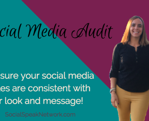 Social Media Audit